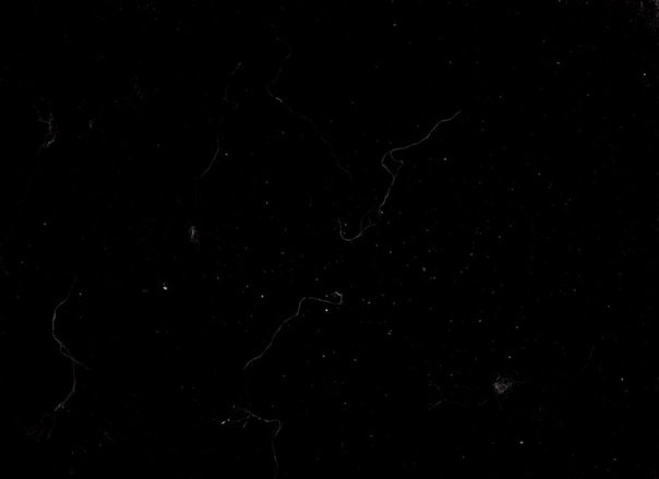 Текстура пленки