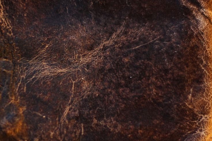 Старая кожа