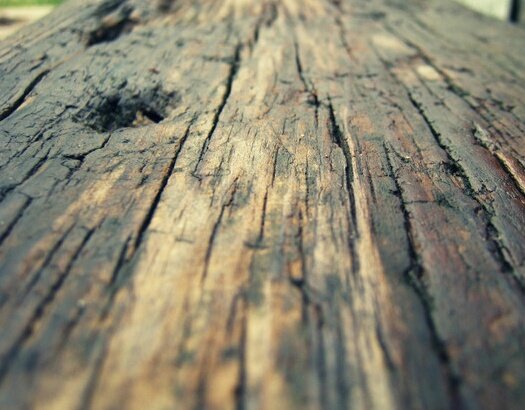 Фактура мокрого дерева