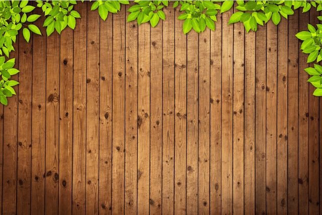 Дерево доска