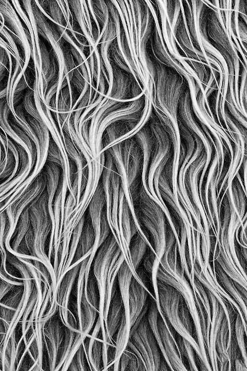 Фактура волос