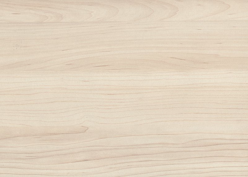 H3860 st9 клен сахарный шампань