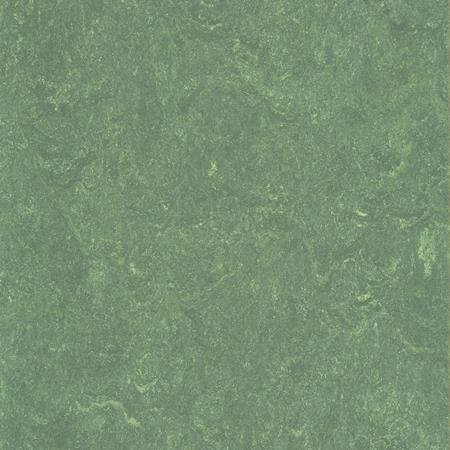 Линолеум Green