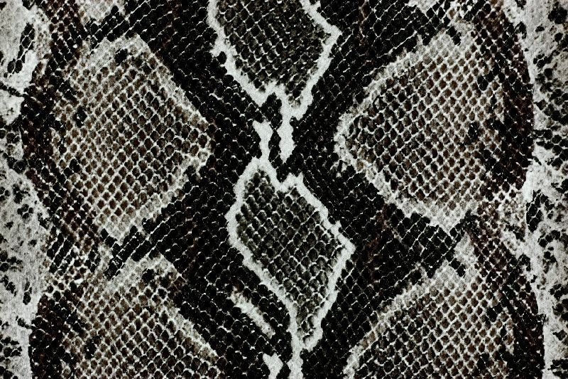 Чешуя питона