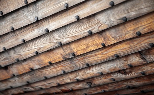 Корабельное дерево