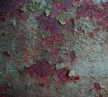 Текстура гнилой кожи бесшовная