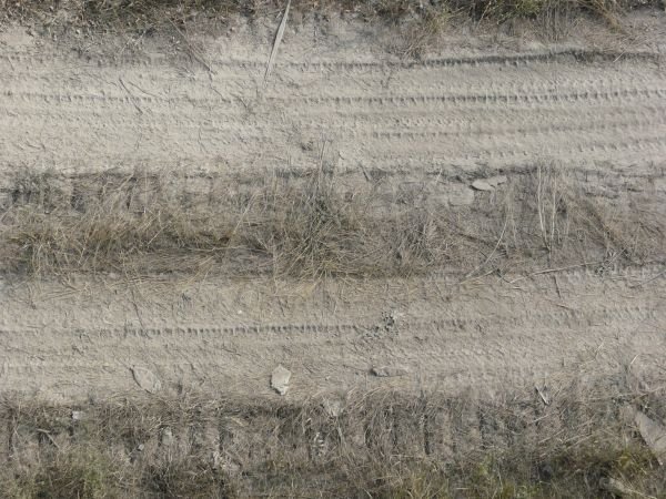 Текстура проселочной дороги