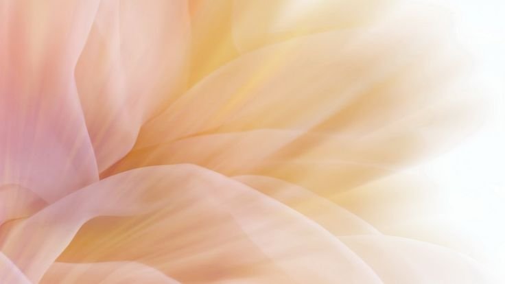 Фон пастельные тона