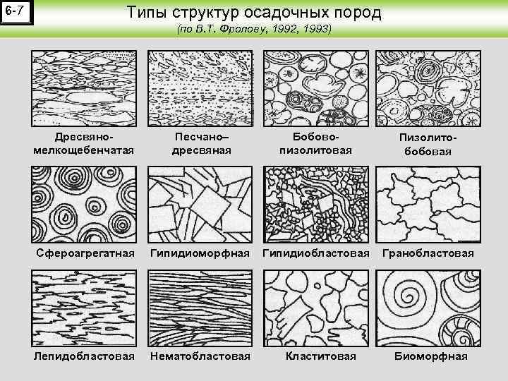 Структура осадочных горных пород