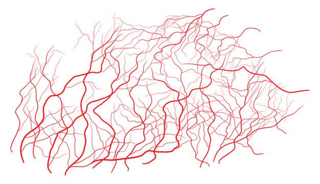 Капилляры без фона