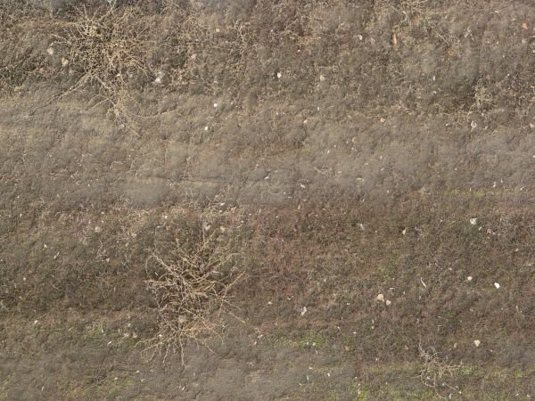 Грунтовая дорога текстура