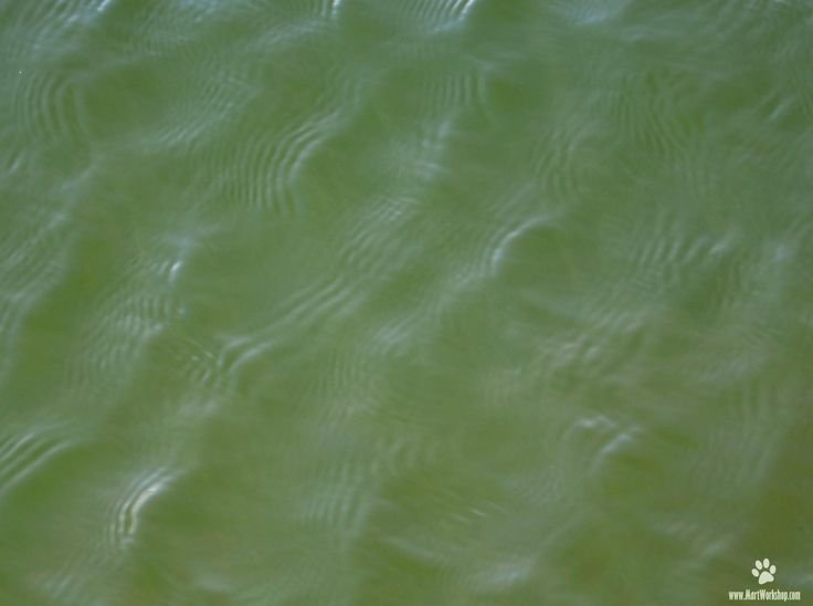 Мутная вода текстура