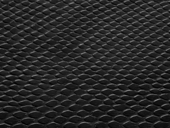 Чешуя Блэк мамбы