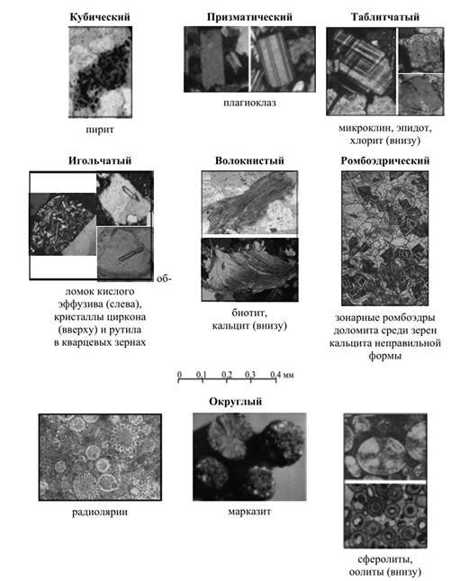 Структуры осадочных пород