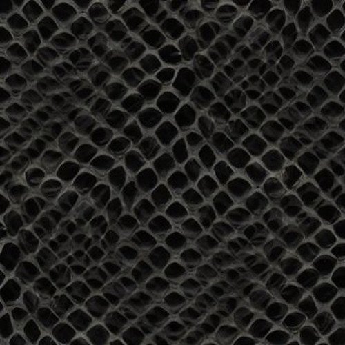 Чешуя Блэк мамбы