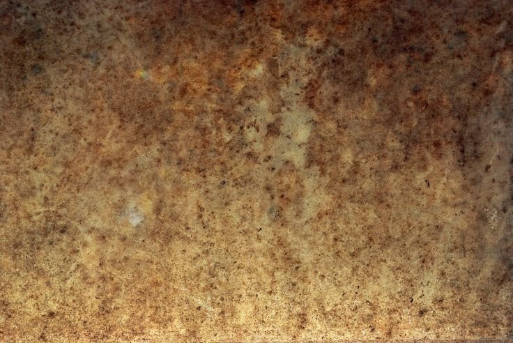 Кость текстура