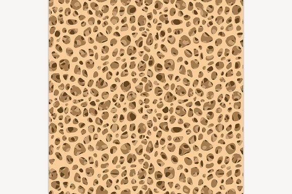 Фактура кости