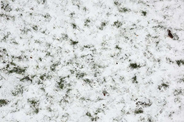 Текстура заснеженной земли