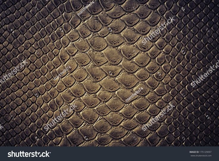 Черная змеиная кожа