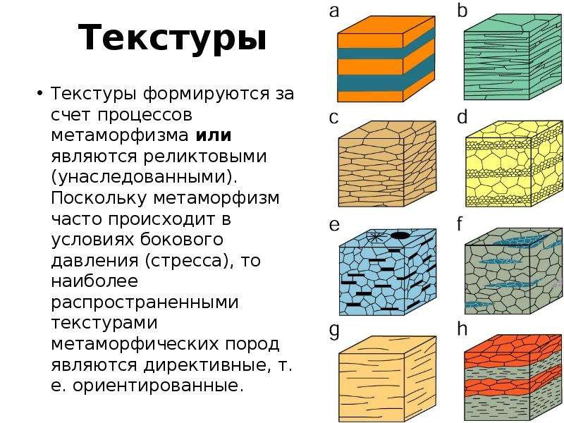 Текстура и структура осадочных пород