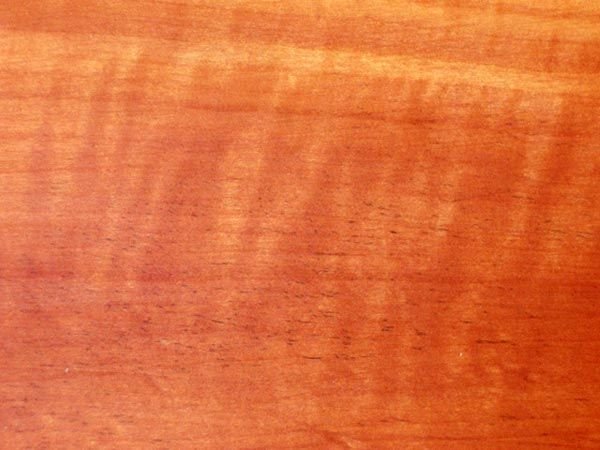 Древесина груши