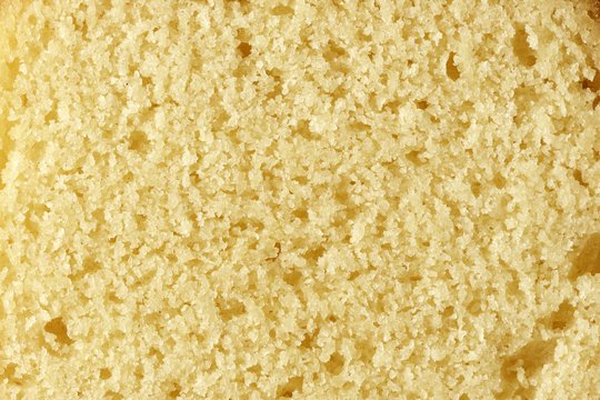 Бисквит текстура