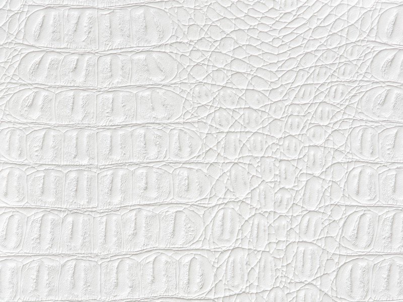 Avanti 100 кожа 10s белая кожа