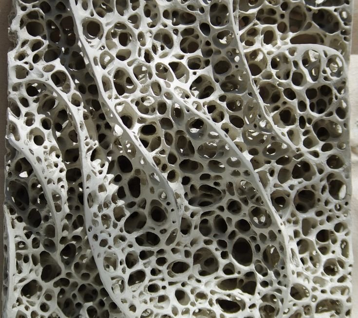 Фактура кости