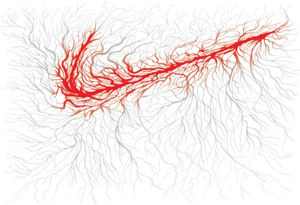 Сосуды без фона
