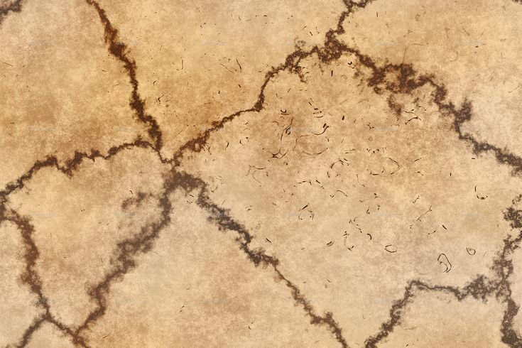 Текстура костей