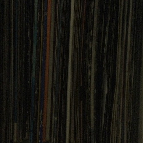 Орех Макассар Скиф