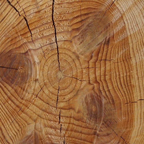 Акигалавуд дерево