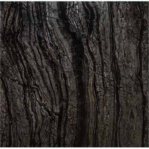 Черное дерево