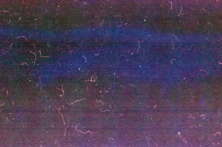 Старая пленка