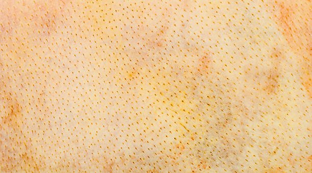 Свиная кожа