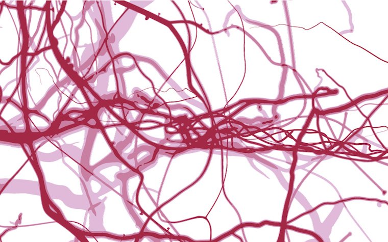 Кровеносные сосуды на белом фоне