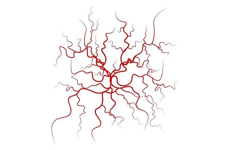 Вены без фона