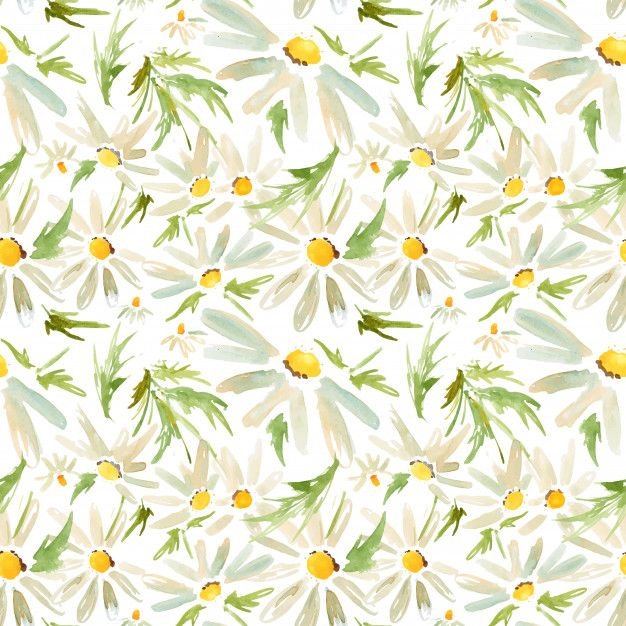 Фон ромашки
