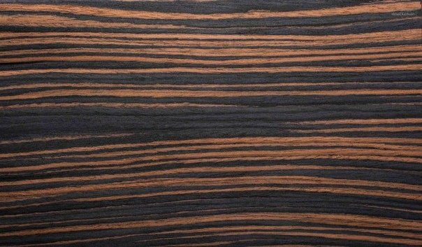 Эбони Макассар