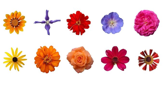 Цветочки текстура