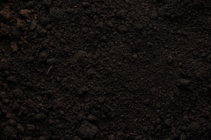 Текстура земли чернозем