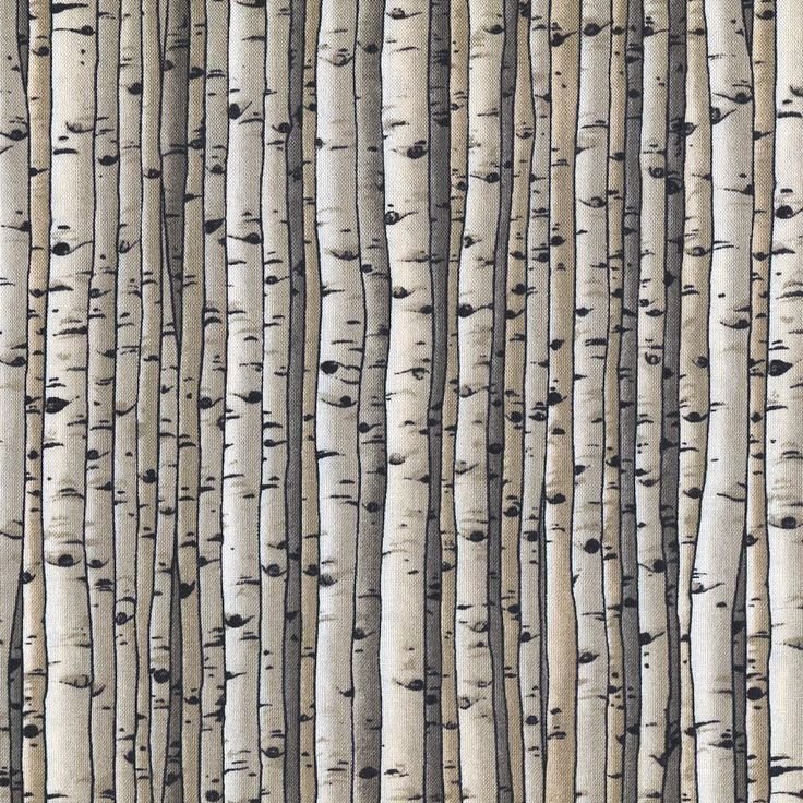 Кора березы фактура