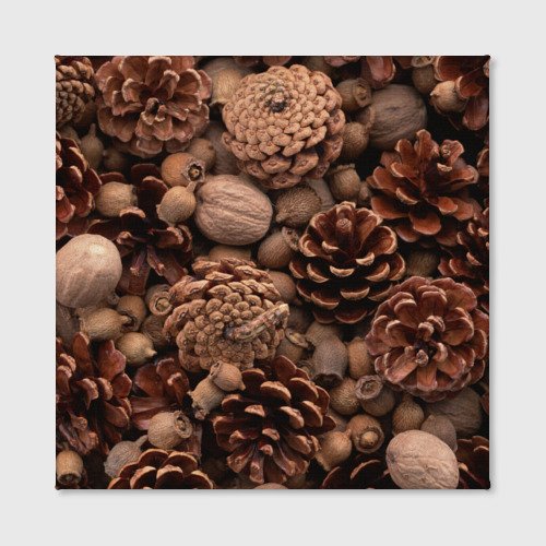 Текстура шишки