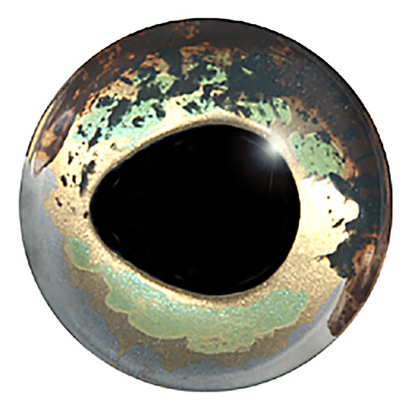 Текстура глаз рыбы