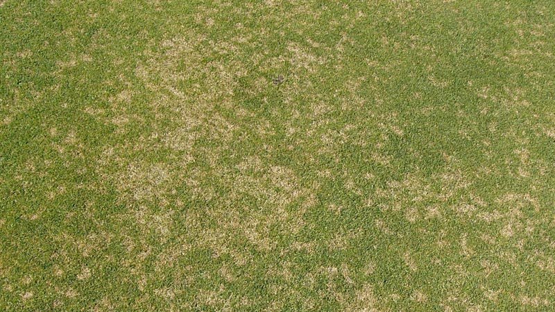 Текстура земли