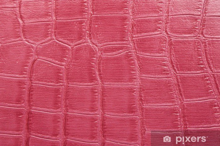 Розовая кожа