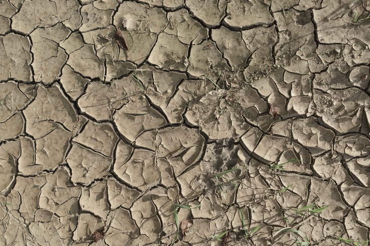 Текстура земли