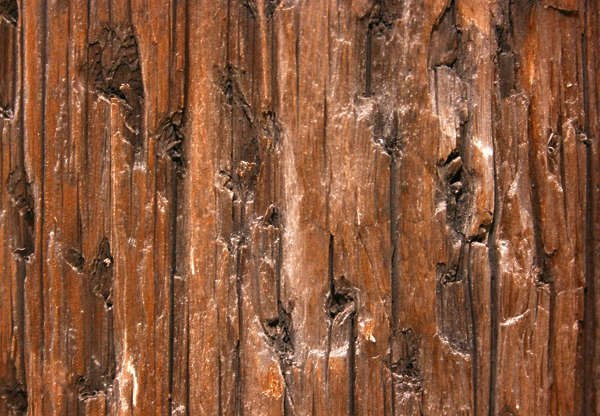 Текстура лакированного дерева