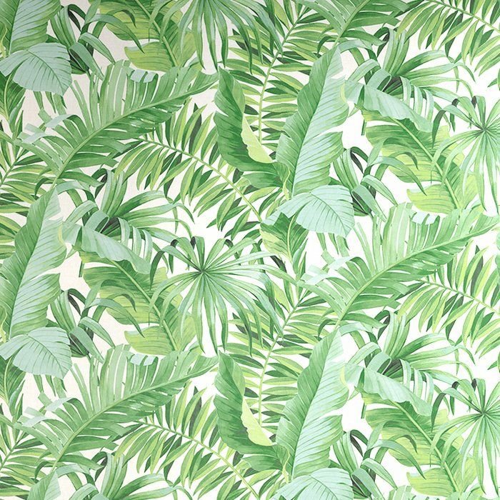 Пальмовый лист текстура