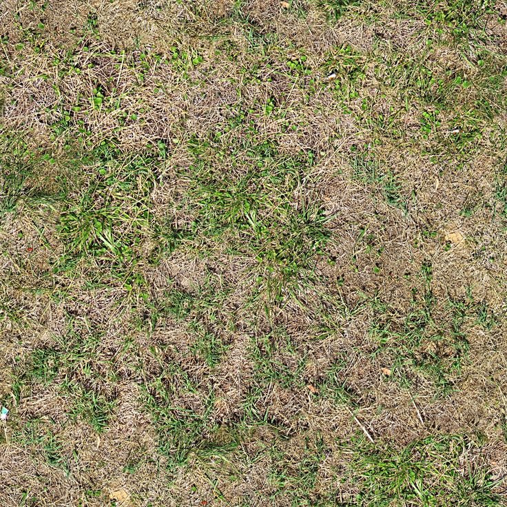 Текстура песка с травой бесшовная